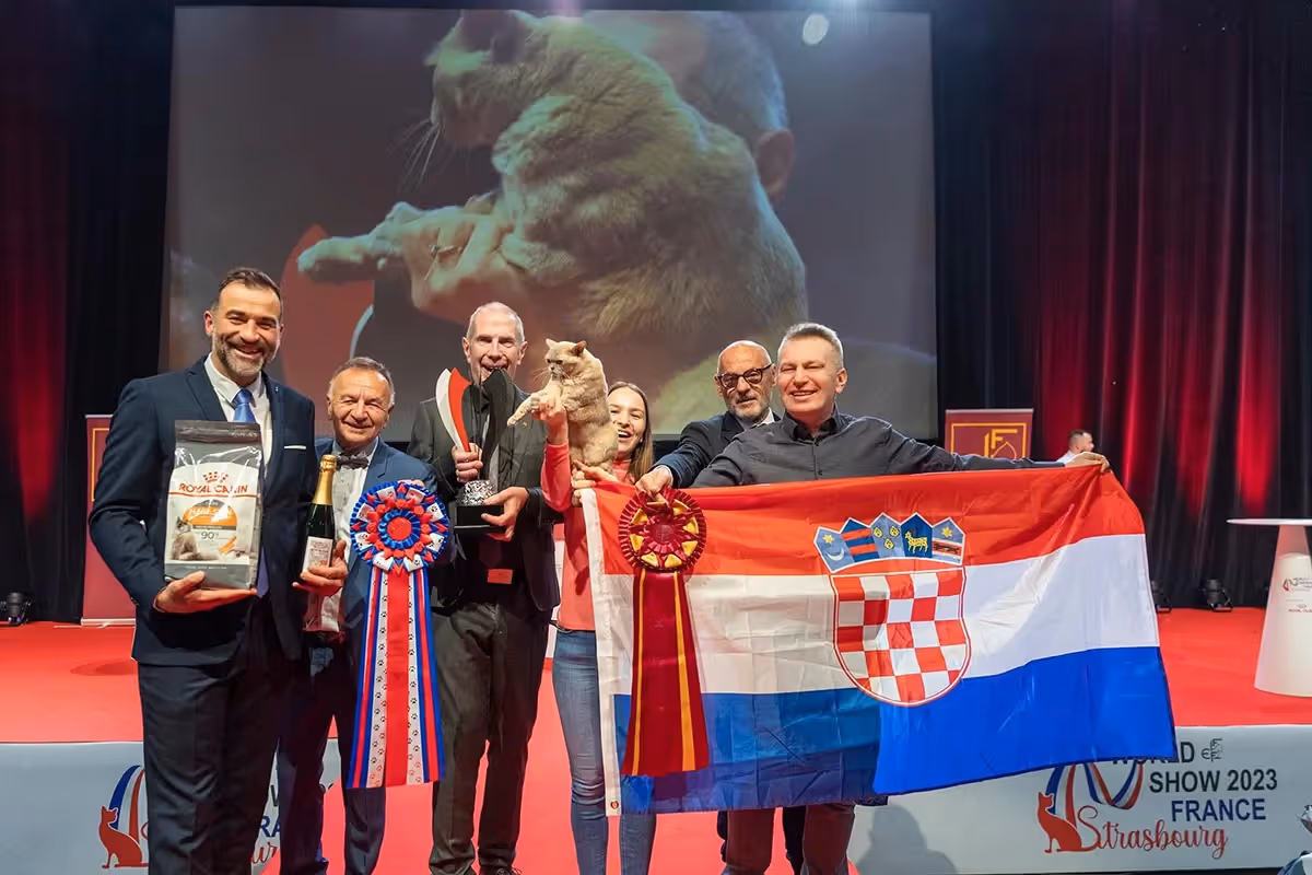 FIFe World Show Strasbourg 2023 | Alba Regia Kisbogar World Winner