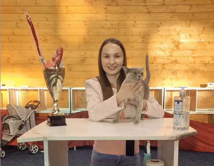 26 and 27 April 2025: FIFe International Cat Show in Žilina, Slovakia