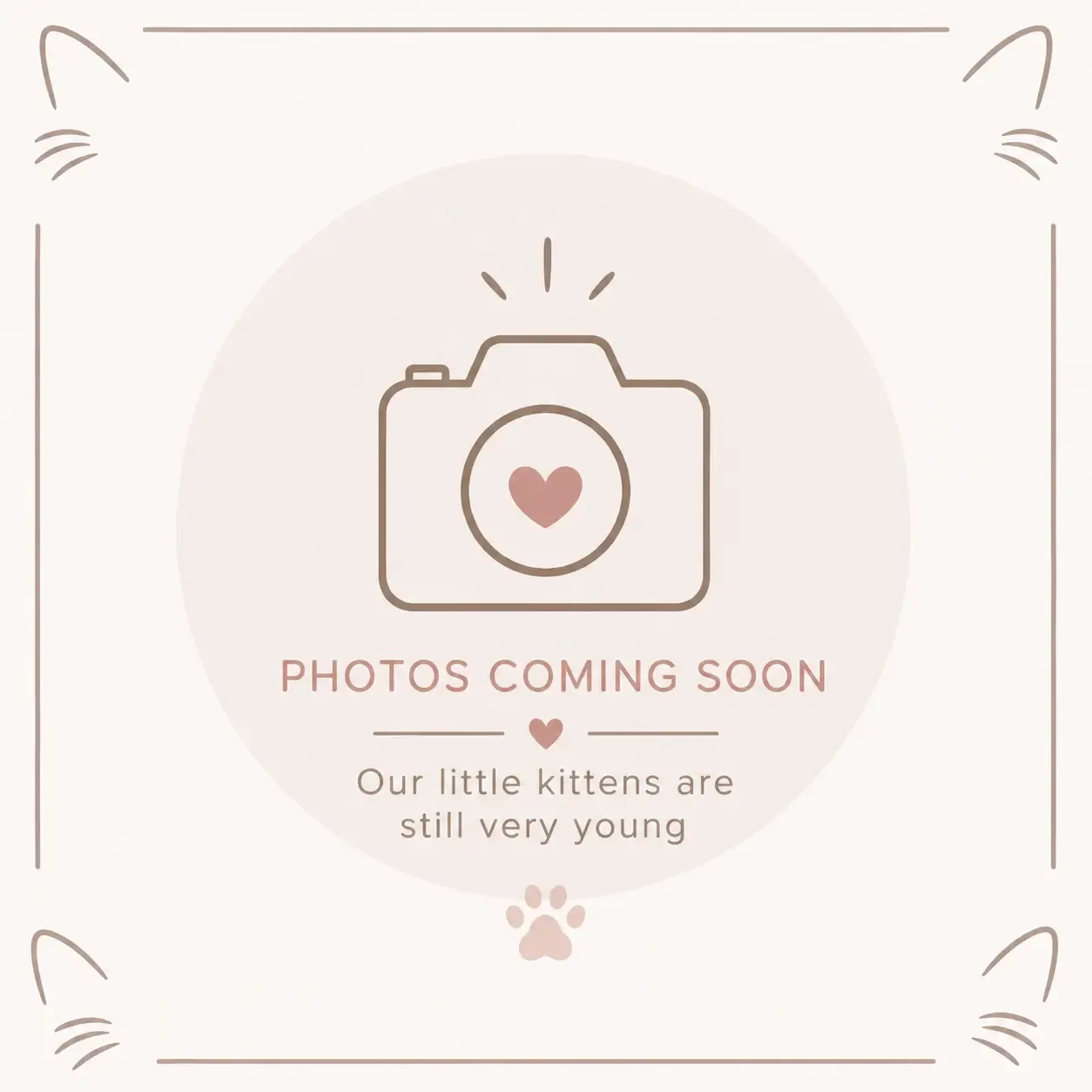 coming soon