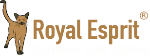 Royal Esprit Burmese Cattery