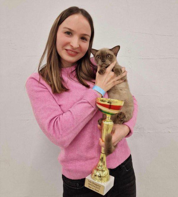 FIFe Cat Show, Budapest 1. Apr 2023. Royal Esprit Burmese Cattery