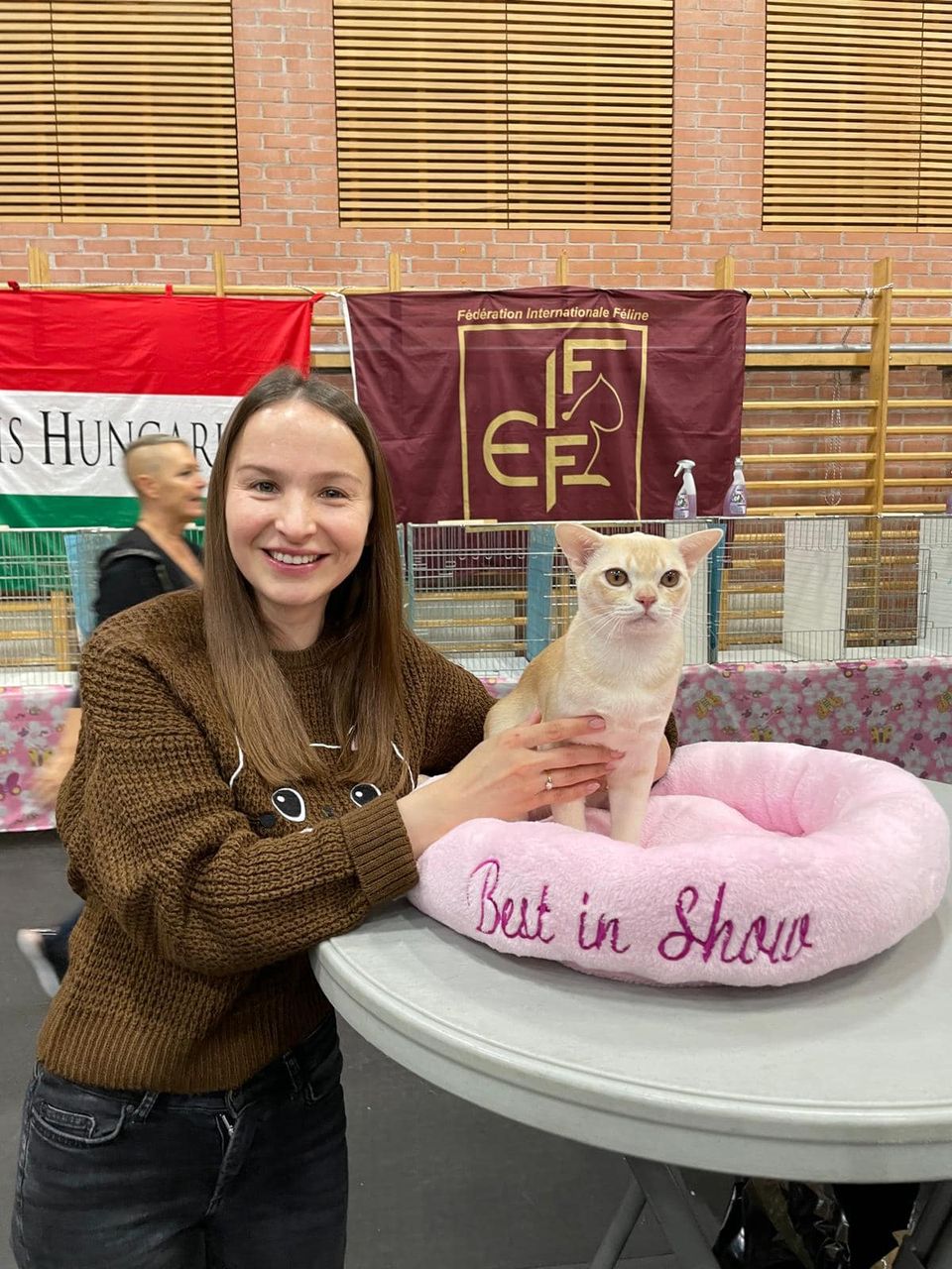 Burma katzen