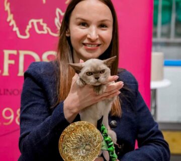 Royal Esprit Burmese cats