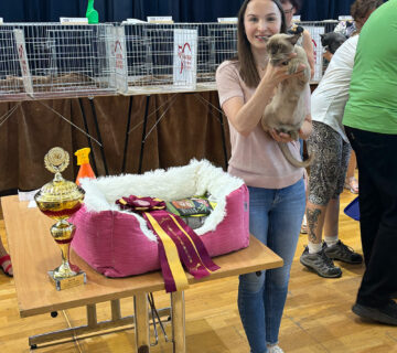 Vinicne Cat Show - Royal Esprit Burmese