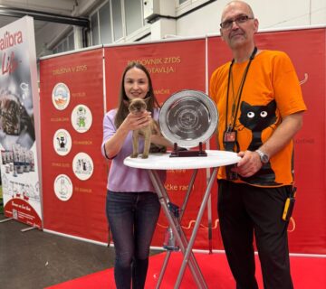 558874172 10231475928256434 2700124947697057051 n 360x320