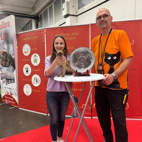 558874172 10231475928256434 2700124947697057051 n