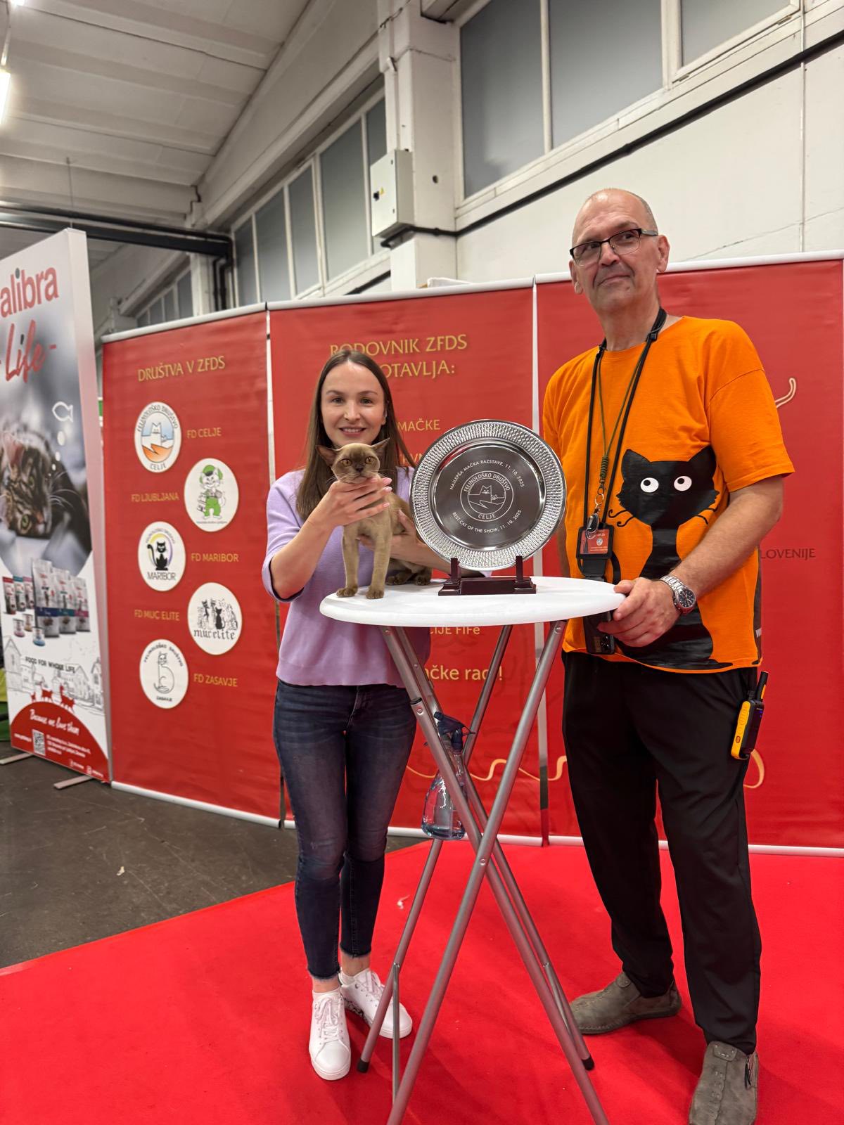 558874172 10231475928256434 2700124947697057051 n