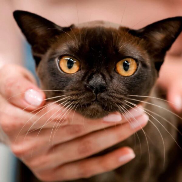 614015033 10232510111070358 7121858191550313508 n