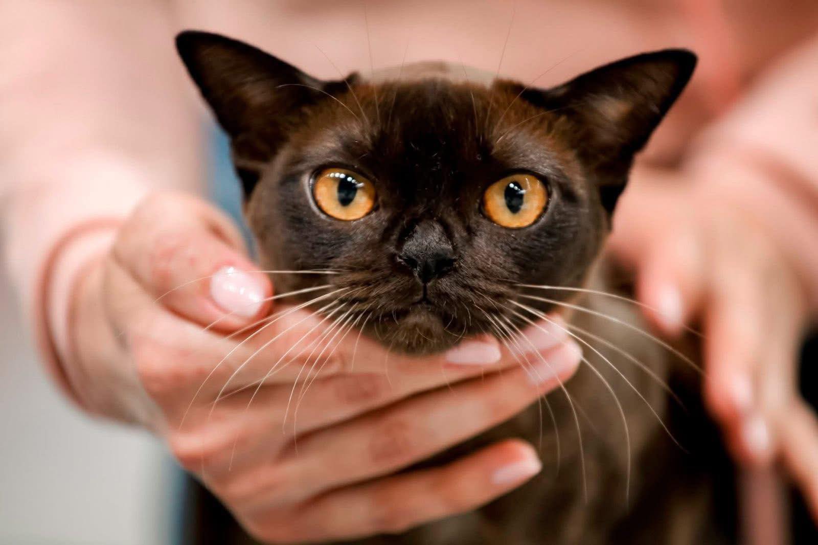 614015033 10232510111070358 7121858191550313508 n