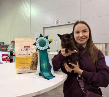 645279709 10233097026622880 2764352473157142712 n 360x320