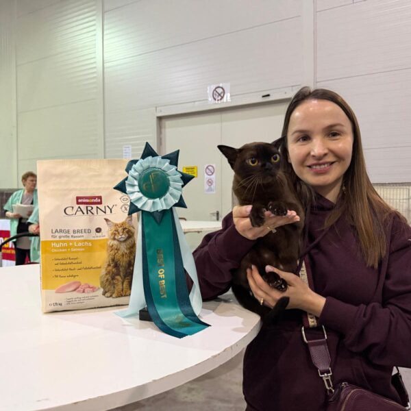 645279709 10233097026622880 2764352473157142712 n